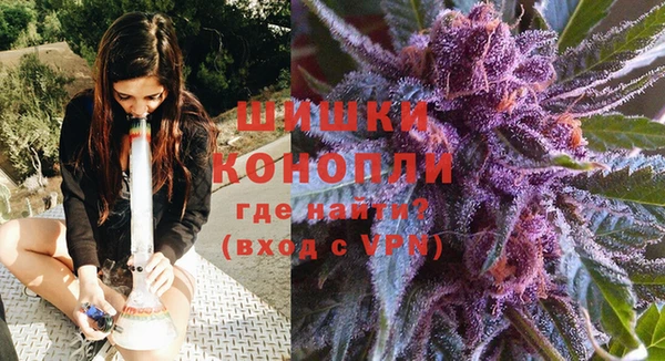 каннабис Новозыбков